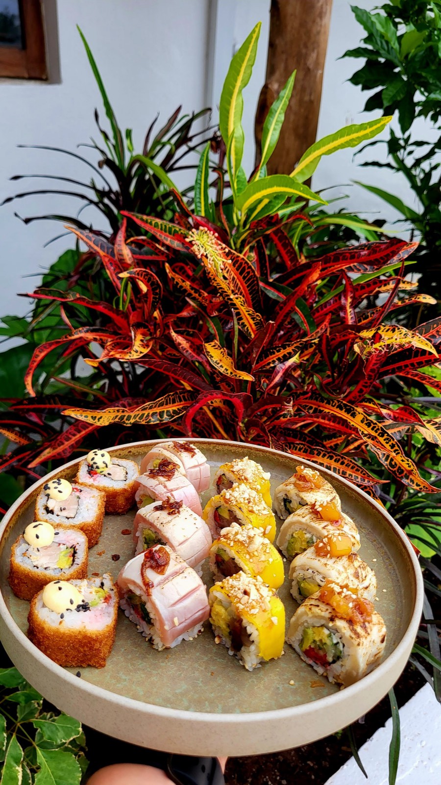 Un piatto di roll speciali scottati, glassati al mango e croccanti davanti a una pianta di croton rossa