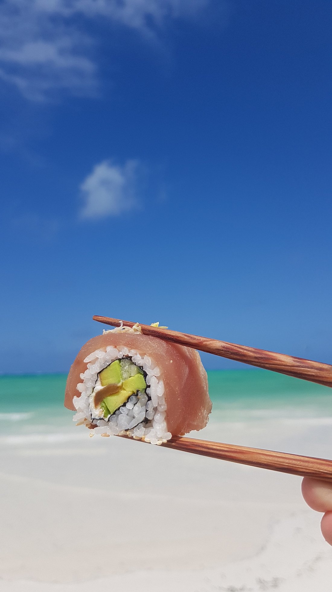 Premium Uramaki Tuna Roll